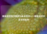 捕鱼游戏海洋捕捞与鱼类知识——捕鱼游戏中常见的鱼种