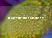 捕鱼游戏开启财富之旅的神奇入口