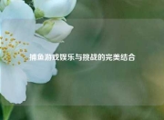 捕鱼游戏娱乐与挑战的完美结合