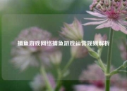 捕鱼游戏网络捕鱼游戏运营规则解析