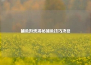 捕鱼游戏揭秘捕鱼技巧攻略