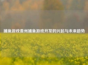捕鱼游戏贵州捕鱼游戏开发的兴起与未来趋势