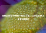 捕鱼游戏在QQ游戏中轻松充值，让你的游戏之旅更加畅快！