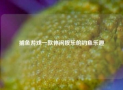 捕鱼游戏一款休闲娱乐的钓鱼乐趣