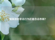 捕鱼游戏非法行为还是合法市场？