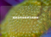 捕鱼游戏探索弹头的奥秘