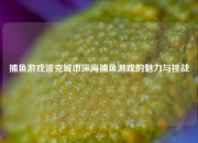 捕鱼游戏波克城市深海捕鱼游戏的魅力与挑战