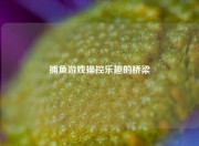 捕鱼游戏操控乐趣的桥梁