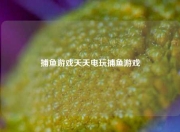 捕鱼游戏天天电玩捕鱼游戏