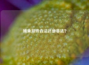 捕鱼游戏合法还是非法？