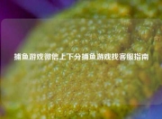 捕鱼游戏微信上下分捕鱼游戏找客服指南