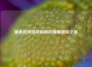 捕鱼游戏挑战极限的捕鱼冒险之旅