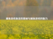 捕鱼游戏鱼类的奥秘与捕鱼游戏的魅力