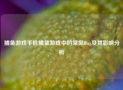 捕鱼游戏手机捕鱼游戏中的常见Bug及其影响分析
