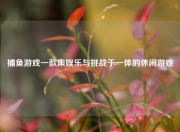 捕鱼游戏一款集娱乐与挑战于一体的休闲游戏