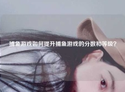 捕鱼游戏如何提升捕鱼游戏的分数和等级？