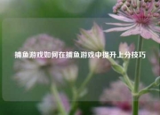 捕鱼游戏如何在捕鱼游戏中提升上分技巧