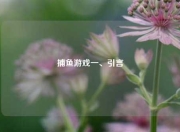 捕鱼游戏一、引言