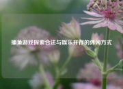 捕鱼游戏探索合法与娱乐并存的休闲方式
