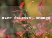 捕鱼游戏一款集乐趣与实惠于一体的捕鱼游戏