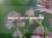 捕鱼游戏一场沉浸式捕鱼冒险之旅