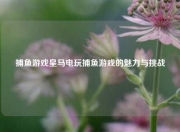 捕鱼游戏皇马电玩捕鱼游戏的魅力与挑战