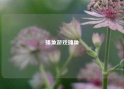 捕鱼游戏捕鱼
