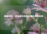 捕鱼游戏一场温馨而有趣的捕鱼游戏视频