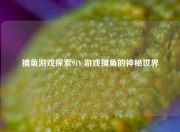 捕鱼游戏探索91Y 游戏捕鱼的神秘世界