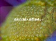 捕鱼游戏真人捕鱼游戏app