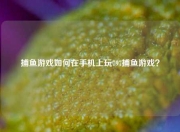 捕鱼游戏如何在手机上玩797捕鱼游戏？