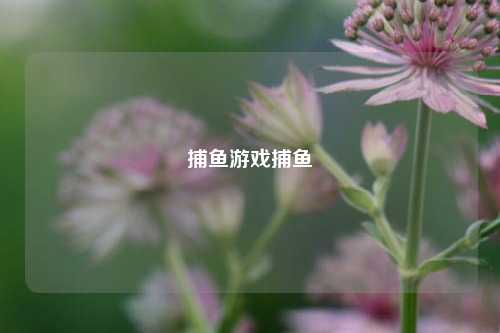 捕鱼游戏捕鱼