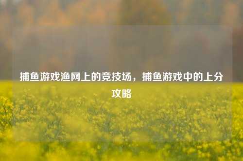捕鱼游戏渔网上的竞技场，捕鱼游戏中的上分攻略