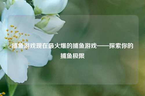 捕鱼游戏现在最火爆的捕鱼游戏——探索你的捕鱼极限