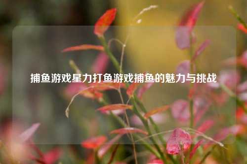 捕鱼游戏星力打鱼游戏捕鱼的魅力与挑战