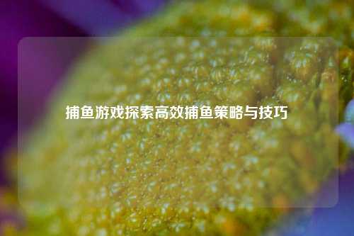 捕鱼游戏探索高效捕鱼策略与技巧