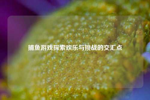 捕鱼游戏探索欢乐与挑战的交汇点