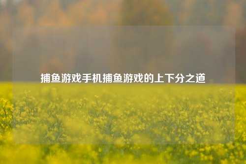 捕鱼游戏手机捕鱼游戏的上下分之道