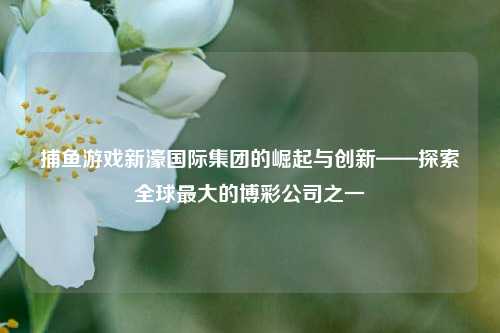 捕鱼游戏新濠国际集团的崛起与创新——探索全球最大的博彩公司之一