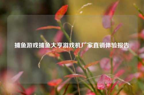 捕鱼游戏捕鱼大亨游戏机厂家直销体验报告