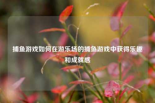 捕鱼游戏如何在游乐场的捕鱼游戏中获得乐趣和成就感