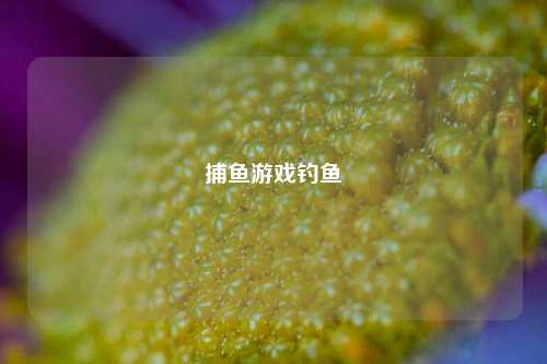 捕鱼游戏钓鱼