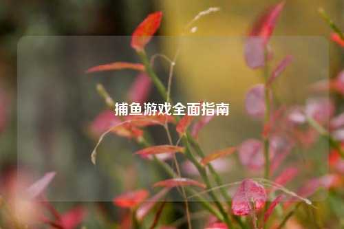 捕鱼游戏全面指南