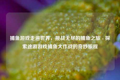 捕鱼游戏走遍世界，挑战无尽的捕鱼之旅 - 探索途游游戏捕鱼大作战的奇妙旅程