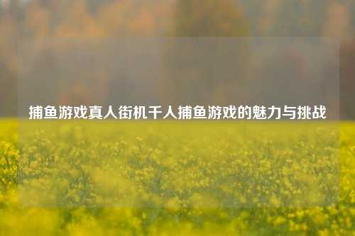 捕鱼游戏真人街机千人捕鱼游戏的魅力与挑战