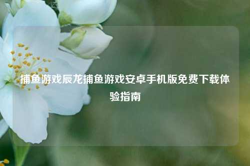 捕鱼游戏辰龙捕鱼游戏安卓手机版免费下载体验指南