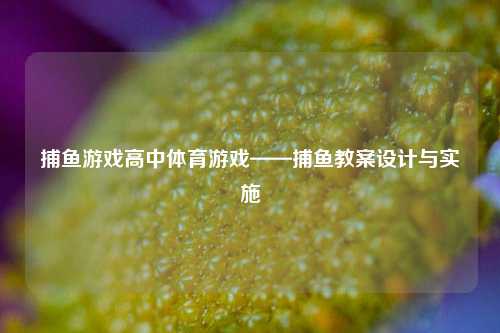 捕鱼游戏高中体育游戏——捕鱼教案设计与实施
