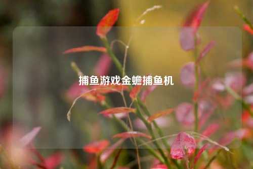 捕鱼游戏金蟾捕鱼机