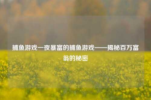 捕鱼游戏一夜暴富的捕鱼游戏——揭秘百万富翁的秘密