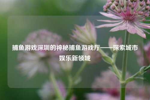 捕鱼游戏深圳的神秘捕鱼游戏厅——探索城市娱乐新领域
